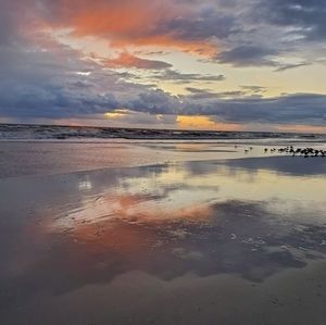 Meet your Posher, Joy